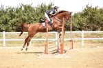 SBM_000732