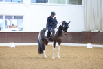 SBM_000284