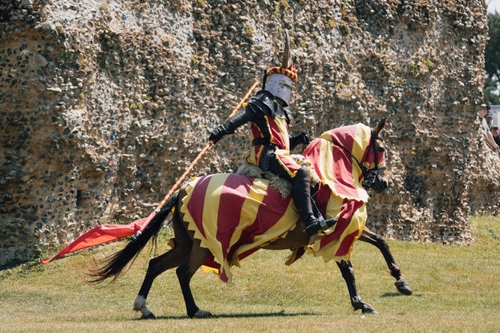 Knights of Royal England at Hedingham castle