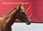 JAC_5137