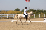 SBM_004945