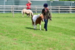 SBM_03456