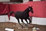 BPP_1760