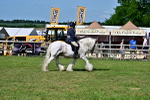 SBM_09394