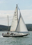 060611 CULVERIN IMG_8782