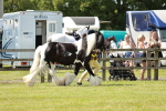 SBM_04302
