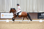 SBM_008511