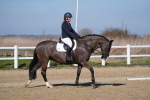 SBM_001863