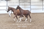 JAC_5845