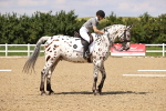 SBM_002067