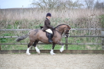 SBM_006026