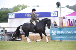 SBM_11058