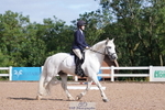Dressage Competition portfolio