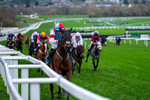 161125-Race 6-Saint Clovis-2022