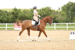 SBM_001921