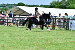 SBM_08035