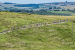 Tebay-102