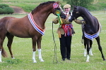 SIAL7591