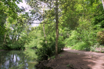 River Frome _B0222