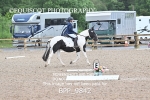 BPP_9842