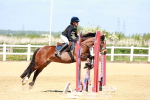 SBM_007123