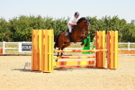 SBM_000736