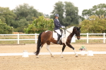 SBM_005553