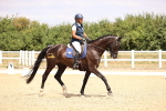 SBM_007346