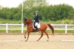 SBM_006327