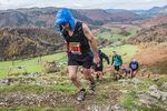 Stybarrow Dodd-541