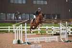 Cls 5 Foxhunter & Open portfolio