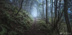 Path Of Mystery