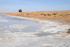Chott el Jerid road causeway