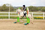 SBM_003882