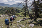 9338 Pollino Massif