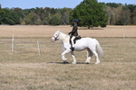 WJ6_8840