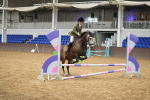 SBM_001295