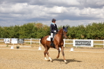 SBM_006492