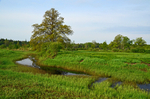 Soomaa National Park, Estonia
