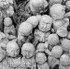 Nashinoki Jizo 11