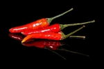 Still Life portfolio