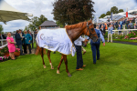 250823-Race 3-Lake Forest-0543