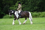 WJ7_2338