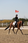 SBM_006845