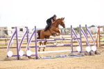 SBM_001820