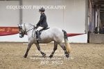 BPP_8502