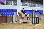SBM_000638