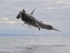 Great White Shark breach (frame 7), Mossel Bay, South Africa