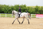 SBM_005904