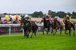 290826-Race 6-Tarmonbarry Kid-7869